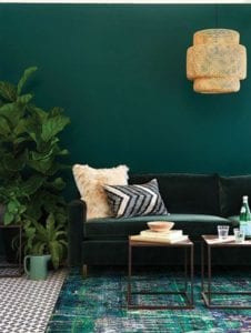 Décoration intérieure - Mur de salon vert